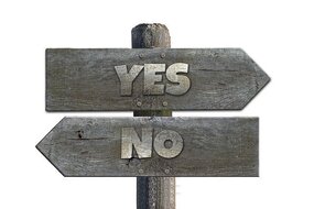 yes or no on the franchise business you want to buy