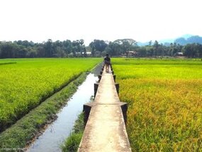 Lakkana Village