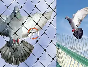 شركة تركيب طارد الحمام بالمزاحمية