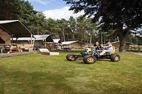 steel pedal go karts