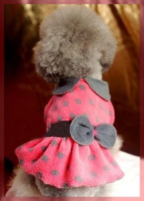 vestidos para perritas chihuahua