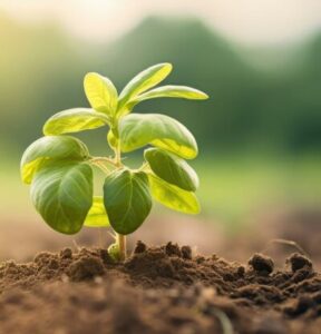 Precise Metal Production GmbH & Co. KG | Sustainability