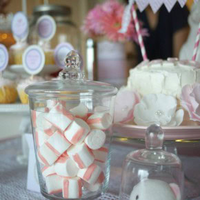 ベビーピンクの赤ちゃんお披露目パーティー : Pink Bird Themed Party