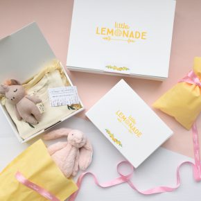 Little Lemonadeセレクト- 大切な方へ送るクリスマスギフト特集