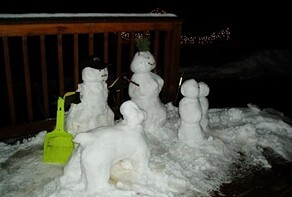 Industry Trend: SANtas converged management team and family