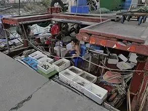 A_Young_Salesman_is_selling_the_seafood_at_the_fishing_boat(293x220)