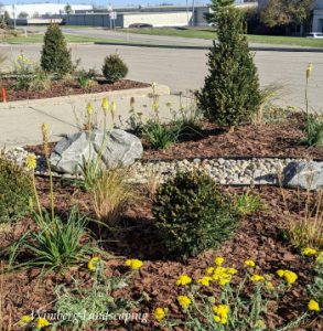 Read more about the article The Next Great Natural Space