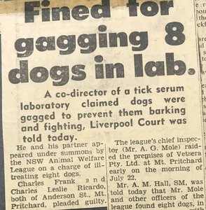 News article on a prosecution of a laboratory who gagged dogs