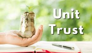 Investing in Treasury Bills or Unit Trusts. Which is one better option? unit t