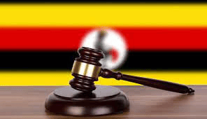 Constitutional Court Declares Key Provisions of Computer Misuse Law Unconstitutional download