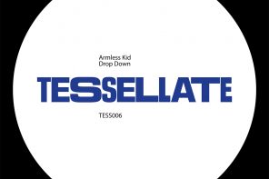 TESS006 artwork