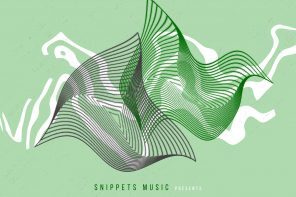 snppts ellipse