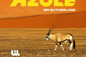 azole - pulpa www