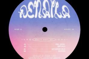 dansu discs - denaila