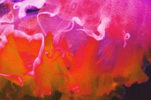 Medusozoa_II_Cover