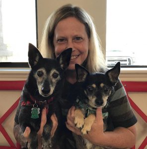Kyle Pet Vet Animal Exams