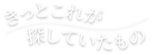 きっとこれが探していたもの
