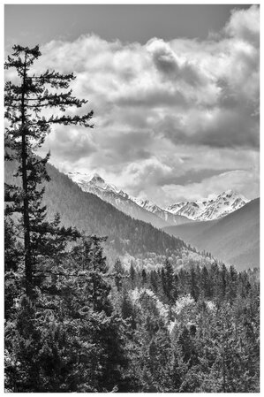 EMDR therapist: mountains peak out from the clouds