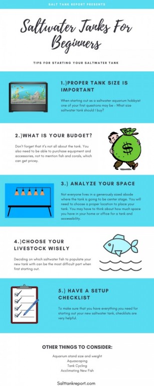 saltwater tanks for beginners