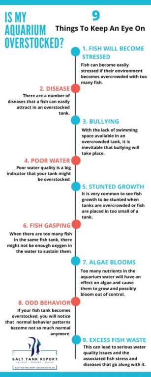 is my aquarium overstocked?
