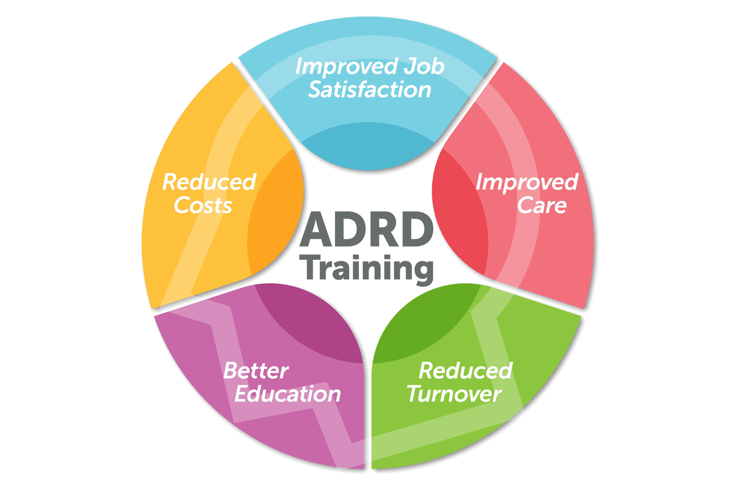 Website Graphic