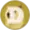 DOGE coin