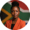 Nomsa Khumalo