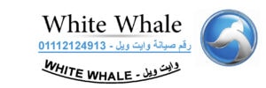 توكيل وايت ويل المنوفية