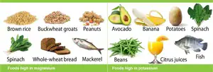 poster of foods high in magnesium and potassium