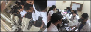 Department of Oral & Maxillofacial Pathology​ - 3