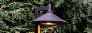 Read more about the article LIGHTING THE WAY
