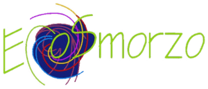 Assistenza Computer Roma Ecosmorzo