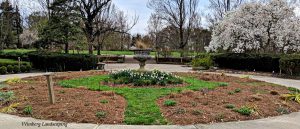 Read more about the article Attracting More Pollinators to Your Garden