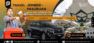 Read more about the article TRAVEL JEMBER PASURUAN