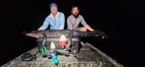 bow fishing in florida