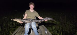 florida gator hunt