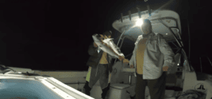 how to catch big snapper
