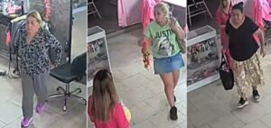 Lee más sobre el artículo Piden llevar a juicio a las gitanas acusadas de una millonaria estafa
