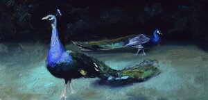 Pavoni peacocks in Monza Sporting Club original oil painting by Andrea Bocedi