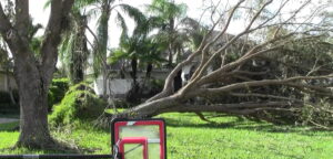 Storm damage in naples florida.