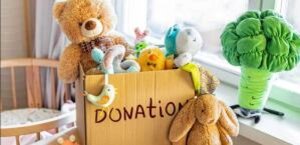 toy clutter - donation