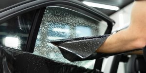 How to Keep Birds Away from Car Windows