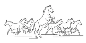 leren van wilde paarden