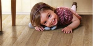 Kavacık Pergole Kamelya Ustası