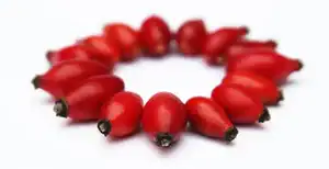 rose hips