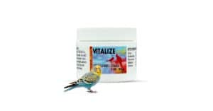 How to Treat Bird Dehydration