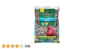 Where to Buy Pennington Bird Seed