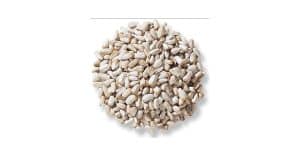 Where to Buy Safflower Bird Seed