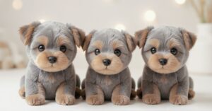 yorkie teddy bear cut complete grooming and care guide (1)