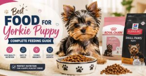 best food for yorkie puppy complete feeding guide